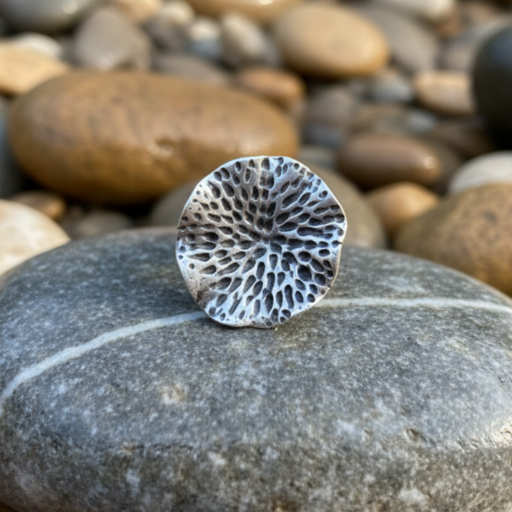 Anillo Musgo