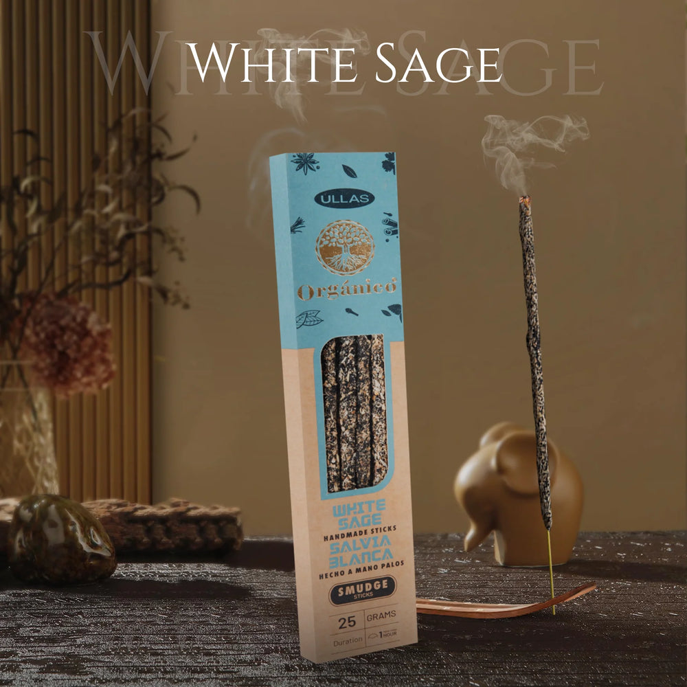 Ullas Salvia Blanca
