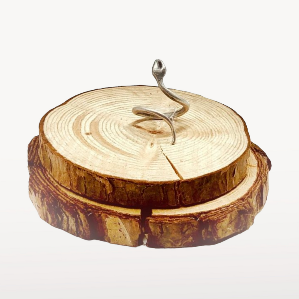 Anillo Snake