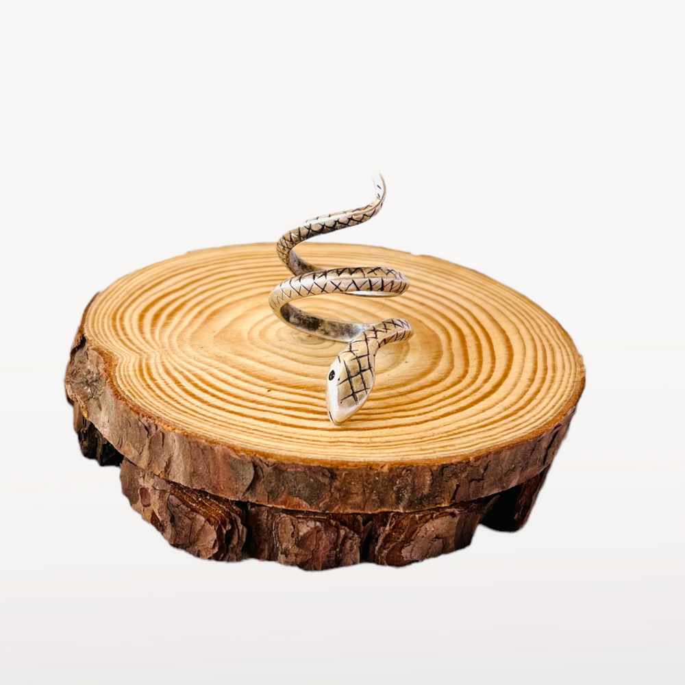 Anillo Pitón